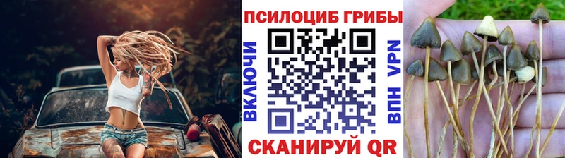 Галлюциногенные грибы GOLDEN TEACHER  Купить  Сольцы 