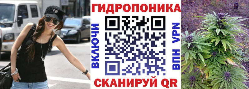 Бошки марихуана индика  Купить закладки  Сольцы 